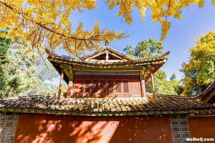 丽江风景随手一拍都是大片！