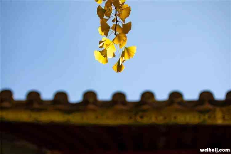 丽江风景随手一拍都是大片！