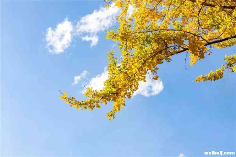 丽江风景随手一拍都是大片！