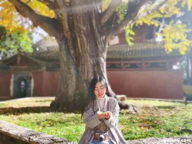 丽江风景随手一拍都是大片！