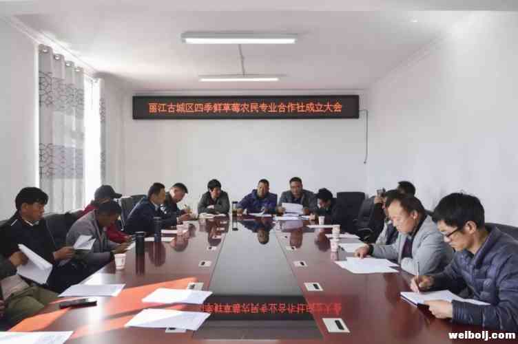 第一年种植300亩，七河的草莓产业要这样干！