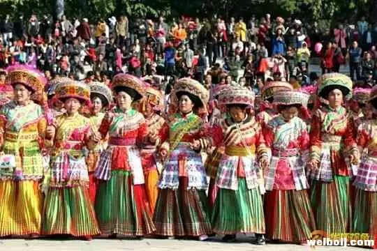 寒冬栖息去华坪 阳光康养好地方