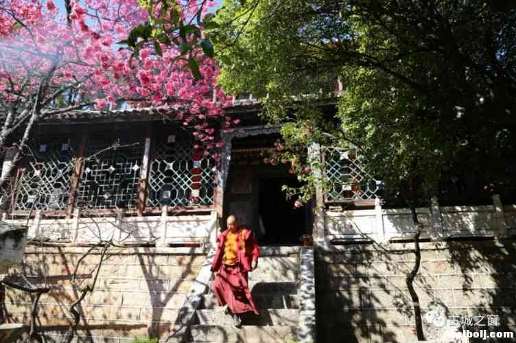 丽江的一处远离喧嚣之地——普济寺，你来过吗？