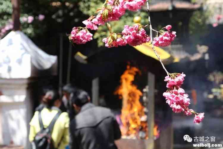 丽江的一处远离喧嚣之地——普济寺，你来过吗？
