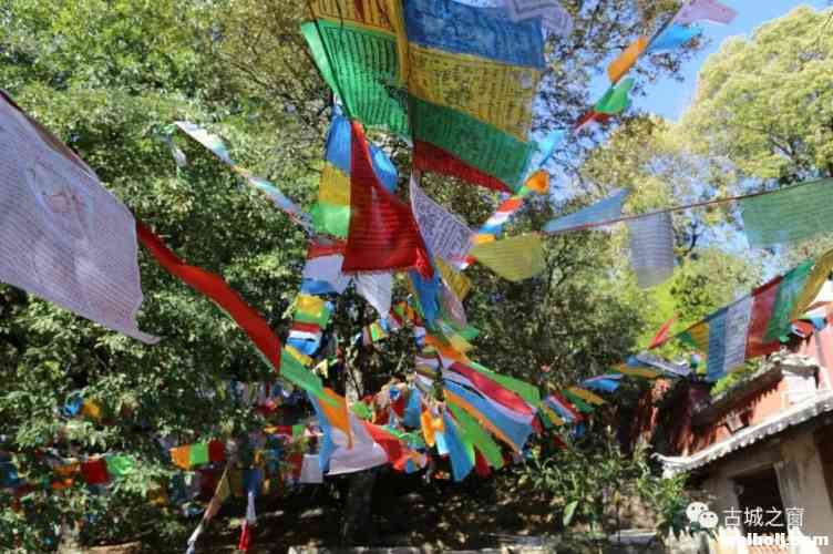 丽江的一处远离喧嚣之地——普济寺，你来过吗？