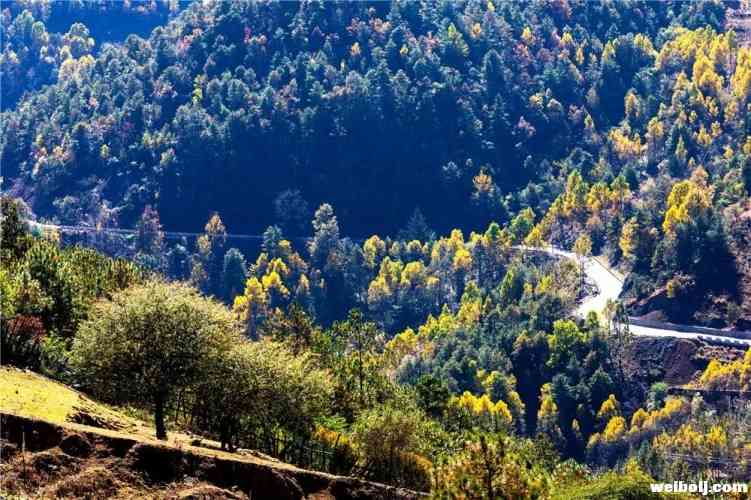 五彩斑斓的玉龙雪山，不可错过！