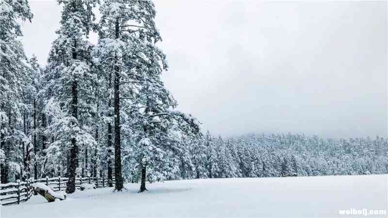 五彩斑斓的玉龙雪山，不可错过！