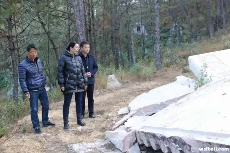 张爱珍带队开展殡葬改革专项纪律检查