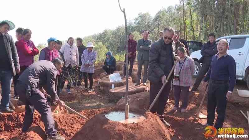 县领导送科技下乡 助力群众脱贫致富   