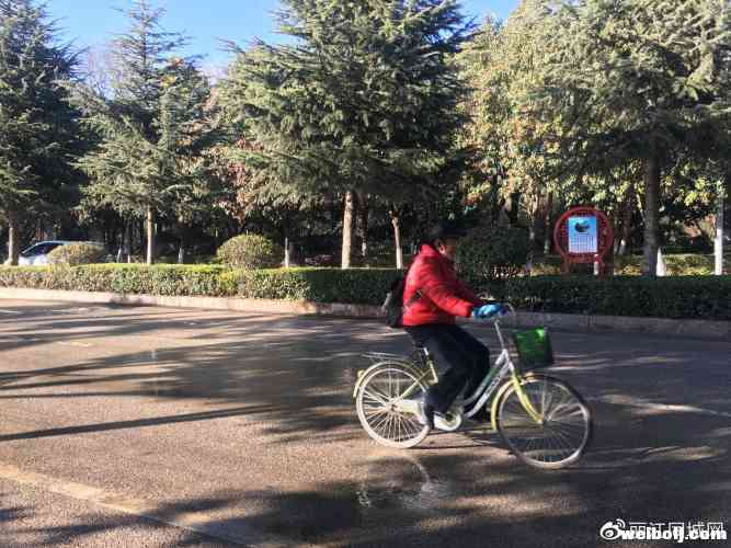 干干净净迎新年！丽江“城市美容师”在行动……