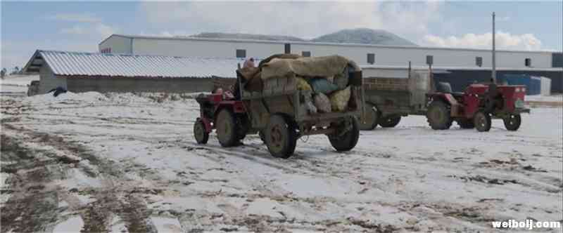 丽江抗疫主题原创歌曲《小凉山土豆的自白》，土豆虽小，但爱不小