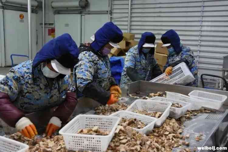 永胜复工复产百分之百 街天赶集全部恢复9.jpg