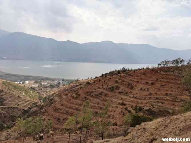 永胜林业生态扶贫 加快程海生态修复.jpg