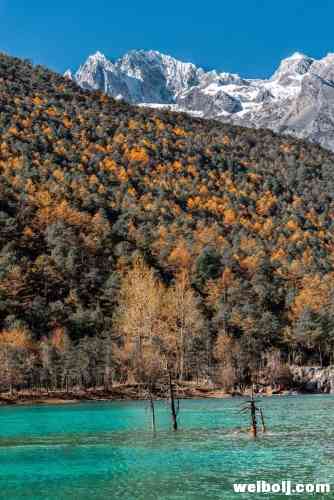 来丽江，看什么？ (3).jpg