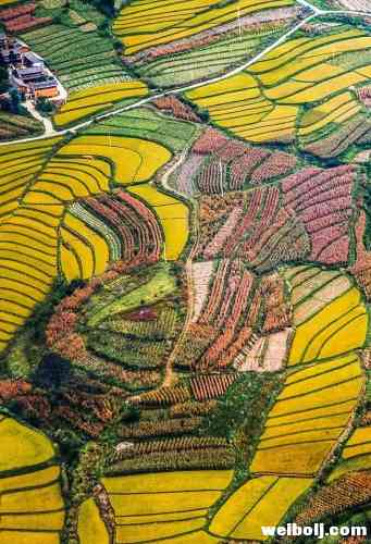 来丽江，看什么？ (22).jpg