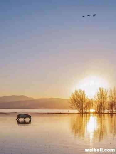 来丽江，看什么？ (26).jpg