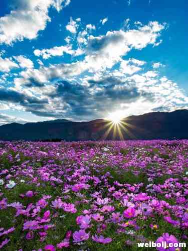 来丽江，看什么？ (31).jpg