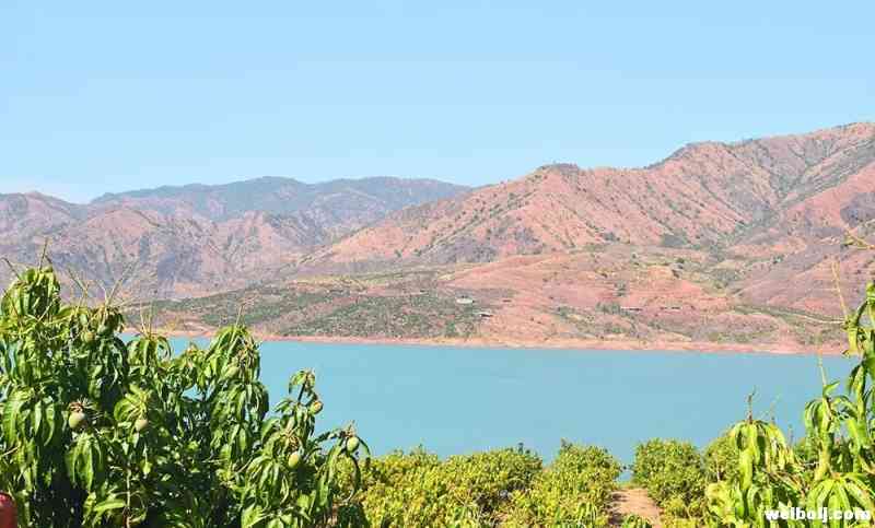 华坪县村民靠“绿水青山”成就 “金山银山” (1).jpg