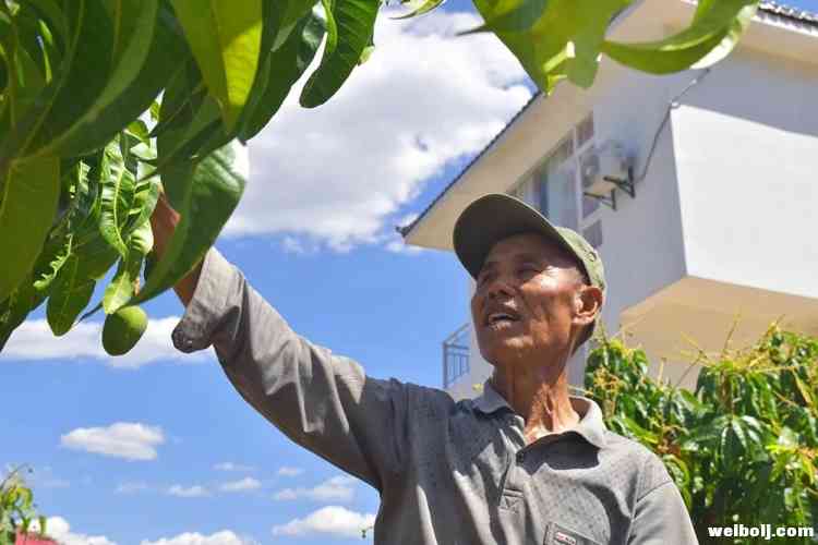 华坪县村民靠“绿水青山”成就 “金山银山” (3).jpg