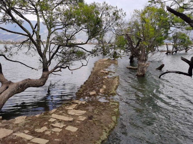 青山一别 鹤庆黄龙潭.JPG