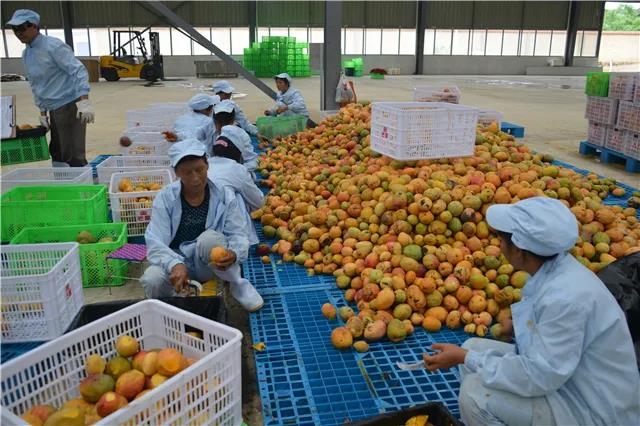 华坪县上榜全国示范县名单 (1).jpg