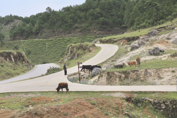 最美的就在身边，华坪腊姑河乡村游  出发！ (7).jpg