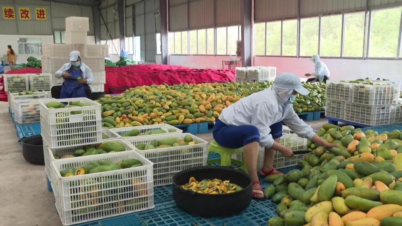 省妇联主席杨沐到华坪县调研 (1).jpg