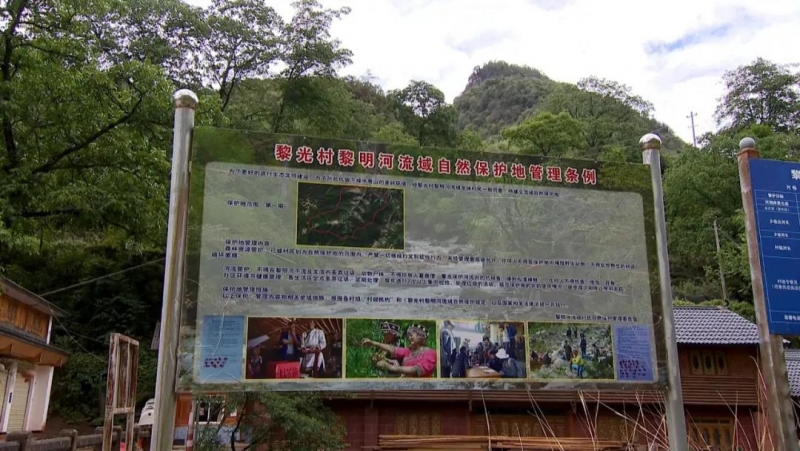 神奇的“村寨银行”让村民自觉守护绿水青山，生态保护面积27万亩 (4).jpg