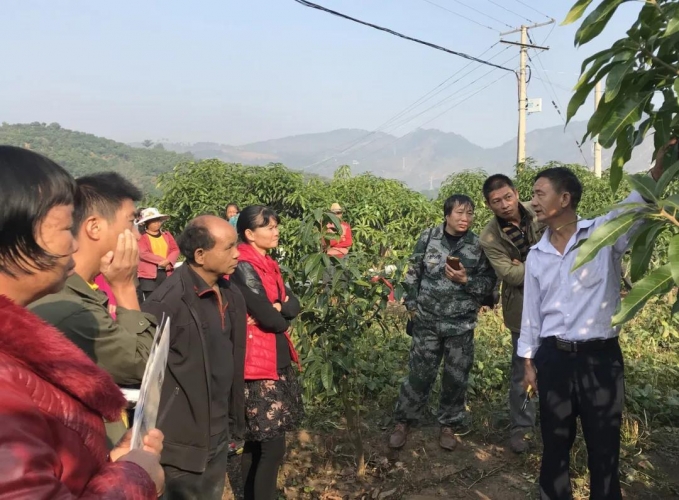 华坪芒果“雄起”的秘密？嘘，我只悄悄告诉你 (2).jpg