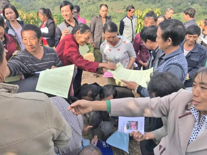 华坪芒果“雄起”的秘密？嘘，我只悄悄告诉你 (4).jpg