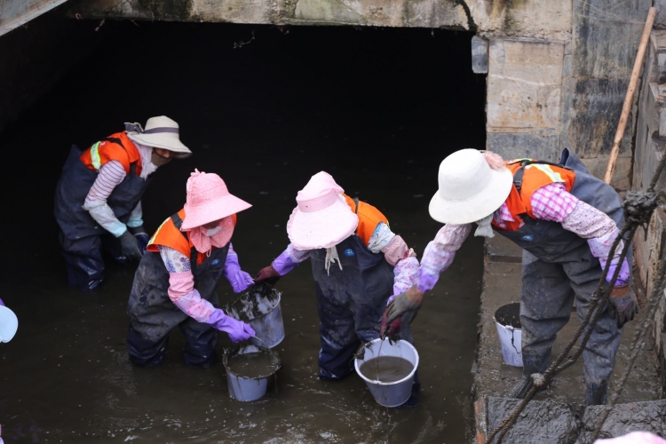 全面开展河道清淤，刷新丽江城市“颜值” (3).jpg