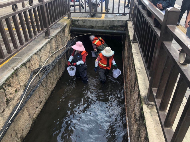 全面开展河道清淤，刷新丽江城市“颜值” (6).jpg