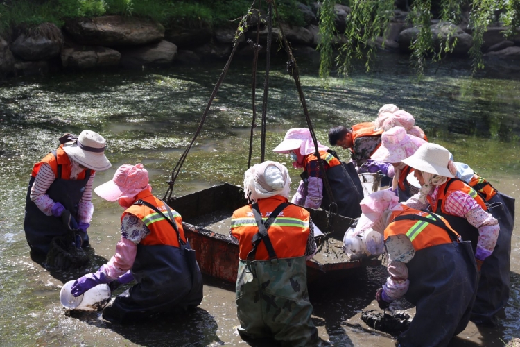 全面开展河道清淤，刷新丽江城市“颜值” (8).jpg