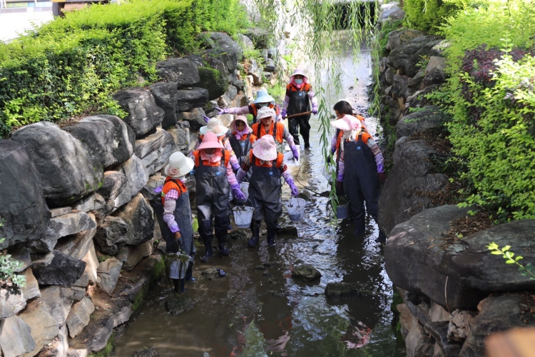 全面开展河道清淤，刷新丽江城市“颜值” (9).jpg