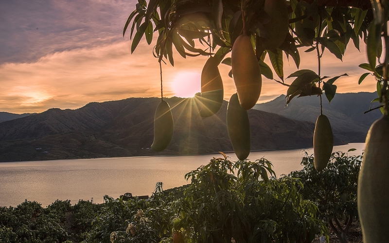 积极开展国家生态文明建设示范县申报 绿色经济是华坪核心竞争力8.jpeg