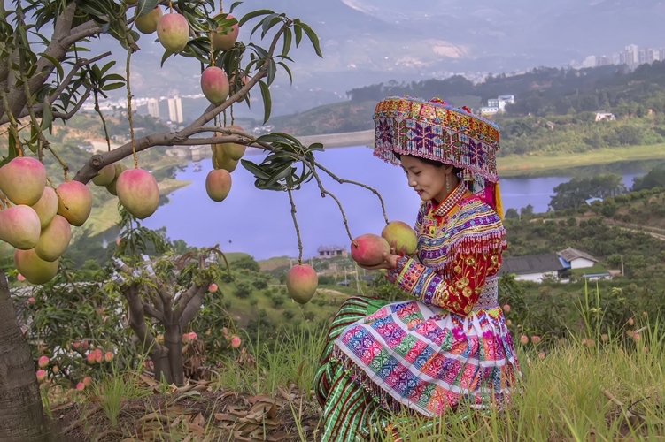 积极开展国家生态文明建设示范县申报 绿色经济是华坪核心竞争力4.jpeg