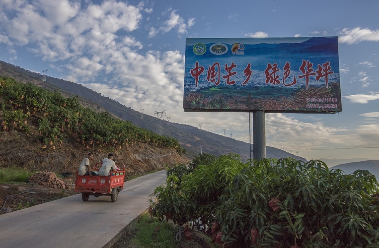 积极开展国家生态文明建设示范县申报 绿色经济是华坪核心竞争力5.jpeg
