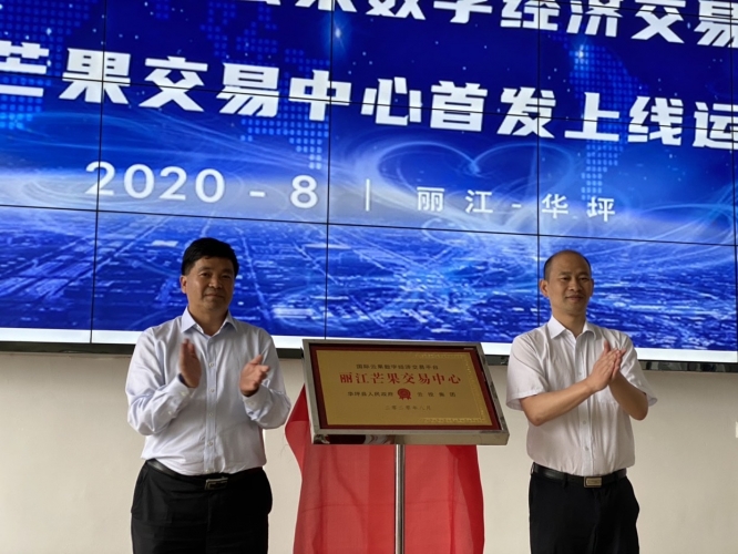 华坪两个芒果数字交易平台正式上线 最好吃的是桂七4.JPG