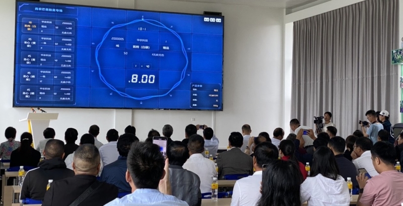 华坪两个芒果数字交易平台正式上线 最好吃的是桂七3.JPG