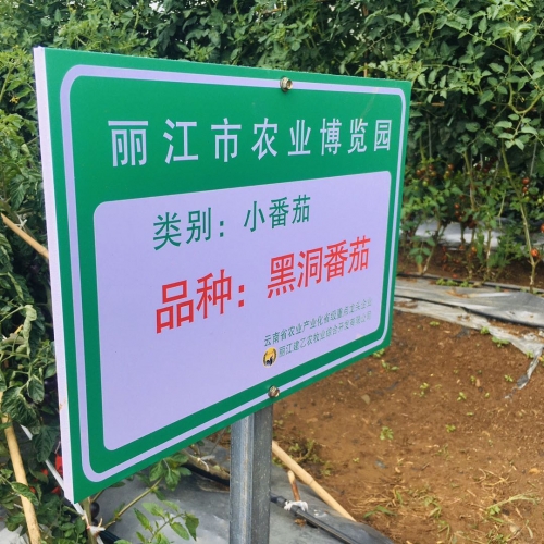 现代农业大观园：丽江的土地上竟能长出300多斤的南瓜？ (7).jpg