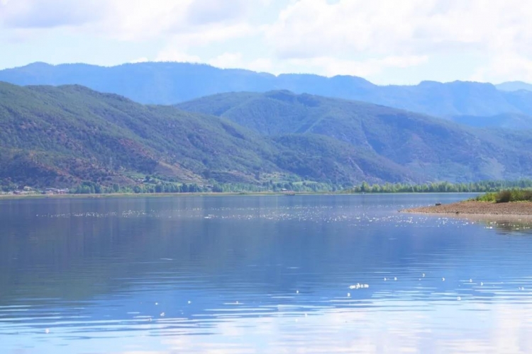 我眼中的泸沽湖，至纯、至净、至明朗…… (2).jpg