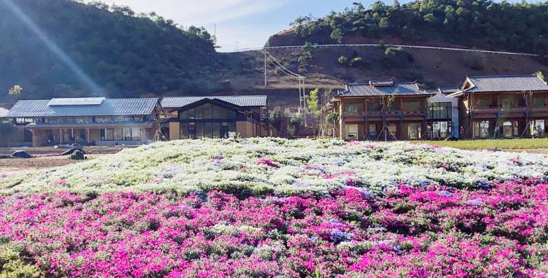 来泸沽湖又有新玩法啦！热气球、动力滑翔伞、全地形车…就在摩梭小镇 (1).png