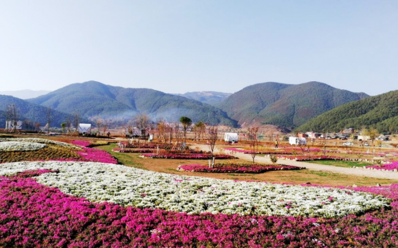 来泸沽湖又有新玩法啦！热气球、动力滑翔伞、全地形车…就在摩梭小镇 (7).png