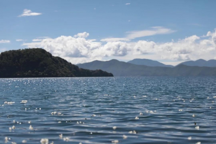 泸沽湖的山水太惊艳了，绝美的景色铺天盖地！ (4).jpg