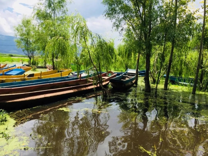 泸沽湖的山水太惊艳了，绝美的景色铺天盖地！ (6).jpg