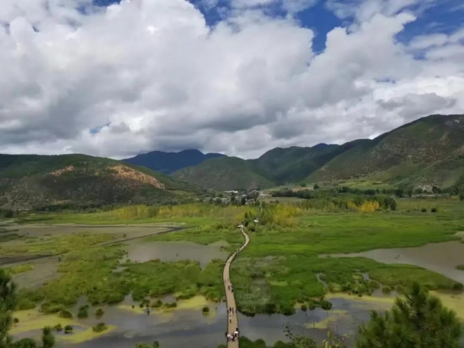 我中了泸沽湖的毒！但我不愿服下解药，因为那抹绿，是重生 (3).jpg