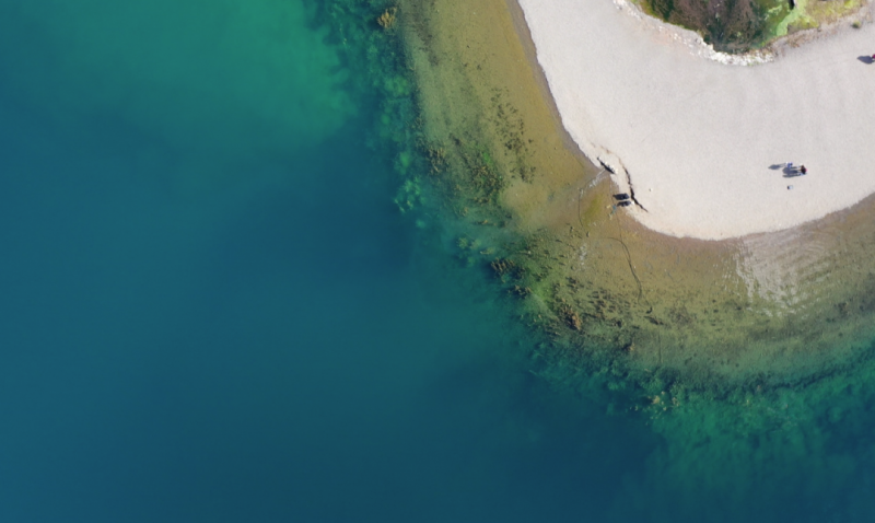 我中了泸沽湖的毒！但我不愿服下解药，因为那抹绿，是重生 (1).png