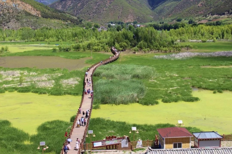 我中了泸沽湖的毒！但我不愿服下解药，因为那抹绿，是重生 (4).jpg