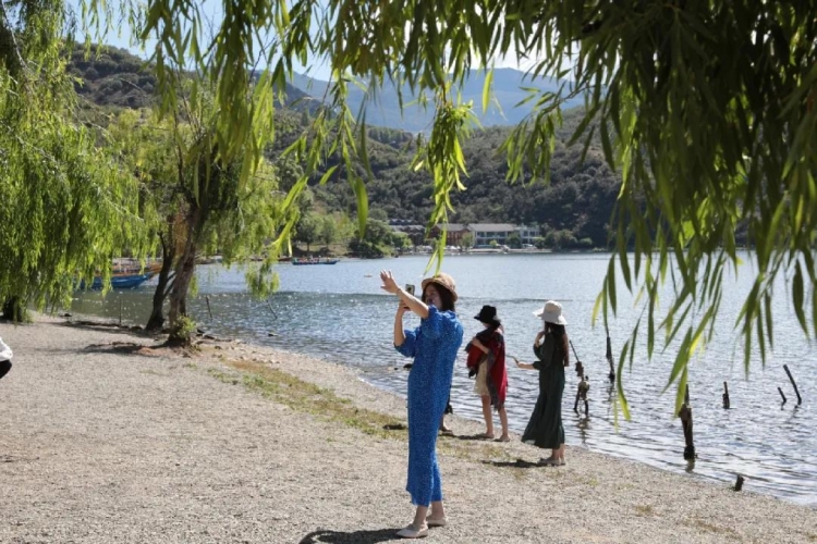 我中了泸沽湖的毒！但我不愿服下解药，因为那抹绿，是重生 (5).jpg