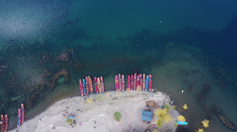 我中了泸沽湖的毒！但我不愿服下解药，因为那抹绿，是重生 (4).png